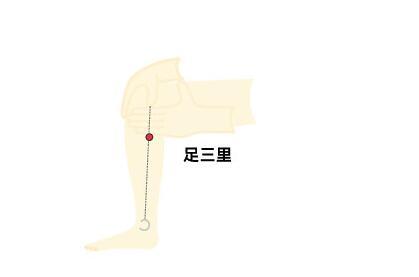 端午吃粽子肚子胀气难受怎么办?教你配3种茶去油解腻促消化